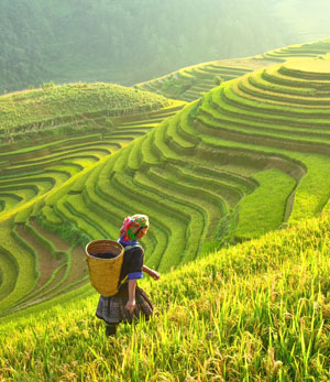 Discounted hotels in Bali